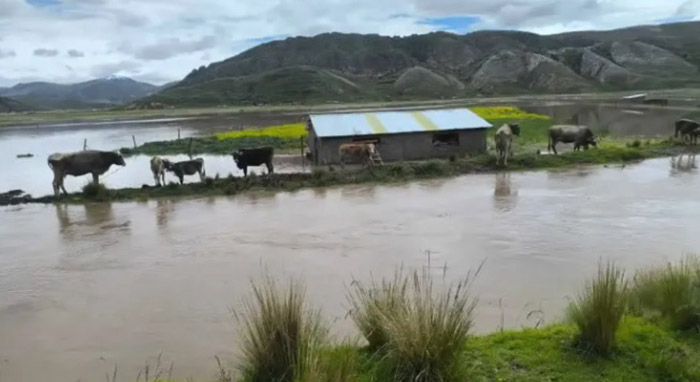 Puno: en alerta roja por desbordes de ríos